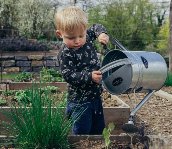 Cultivating your own garden